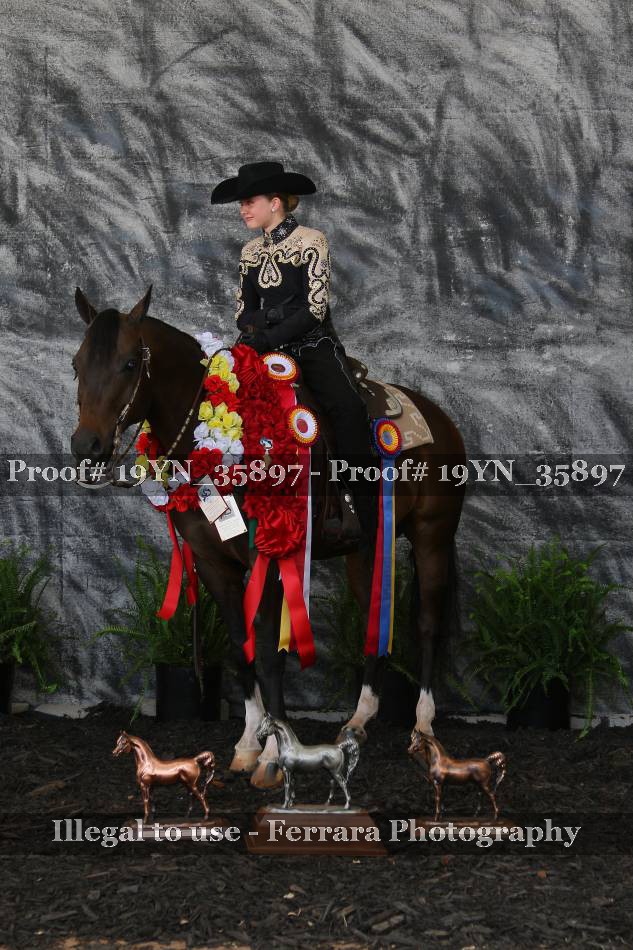 Proof 19YN_35897