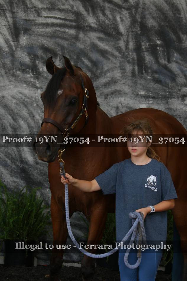 Proof 19YN_37054