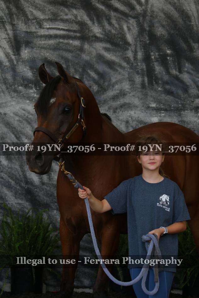 Proof 19YN_37056
