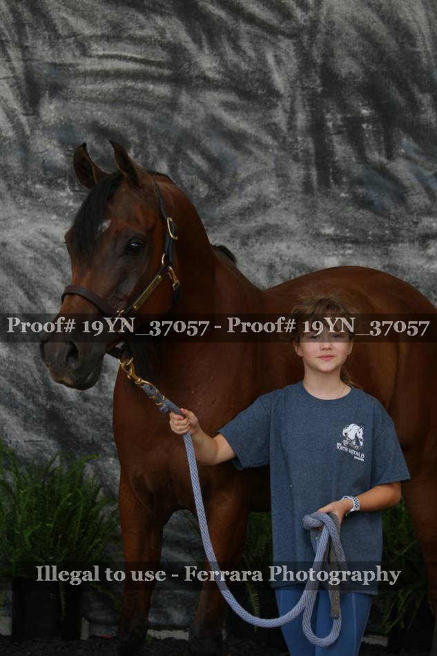 Proof 19YN_37057