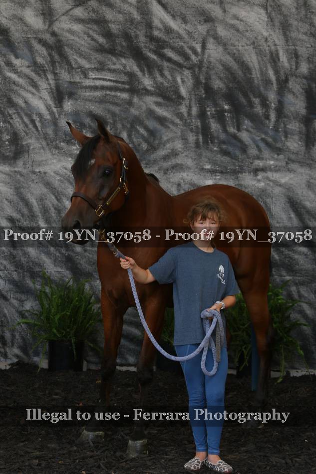 Proof 19YN_37058