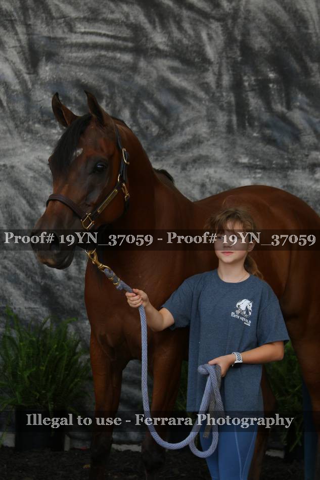 Proof 19YN_37059