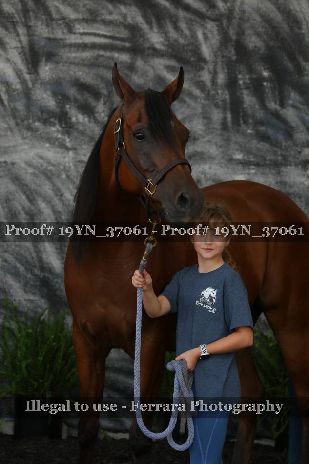 Proof 19YN_37061