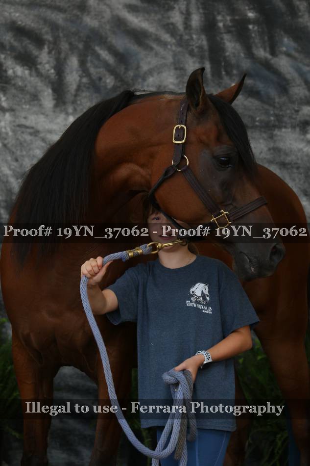 Proof 19YN_37062