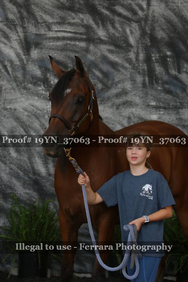 Proof 19YN_37063