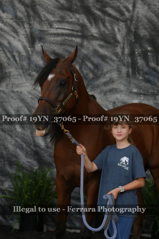 Proof 19YN_37065