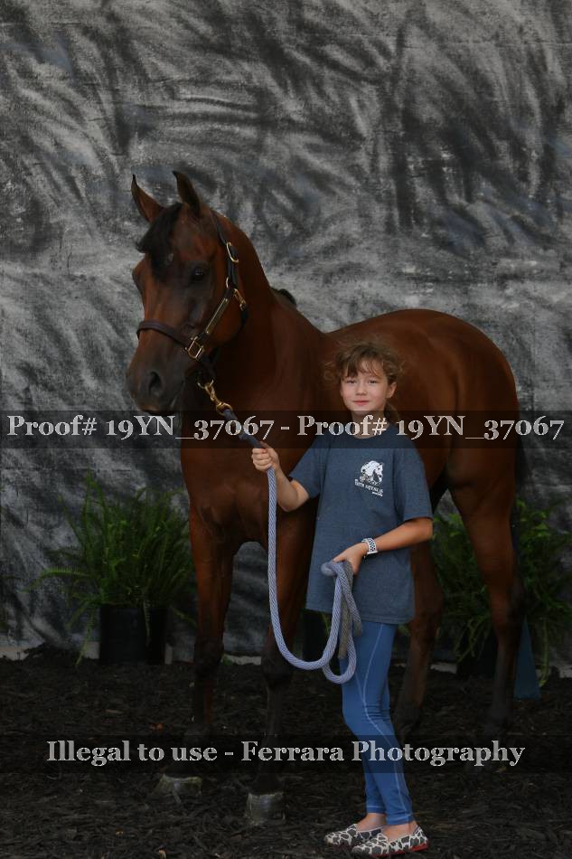 Proof 19YN_37067