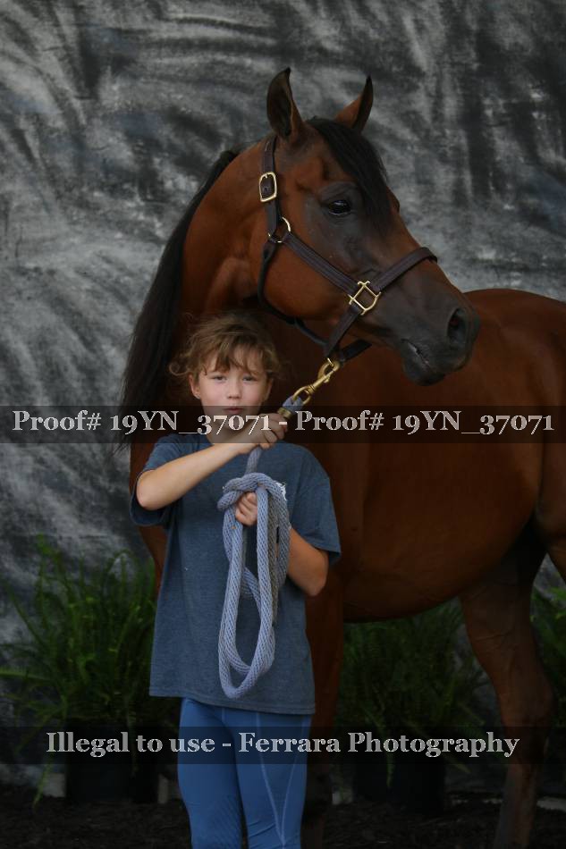 Proof 19YN_37071