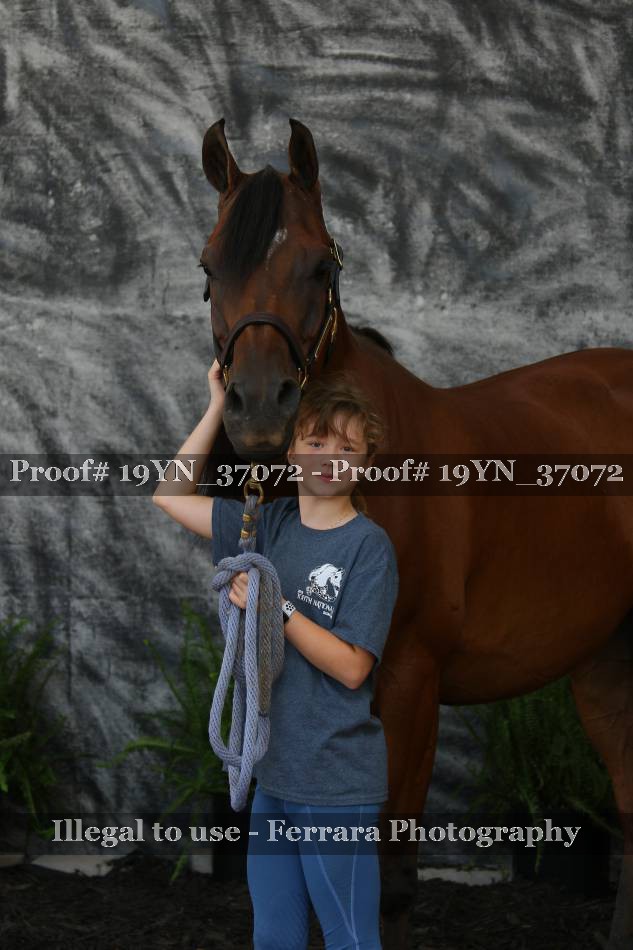Proof 19YN_37072