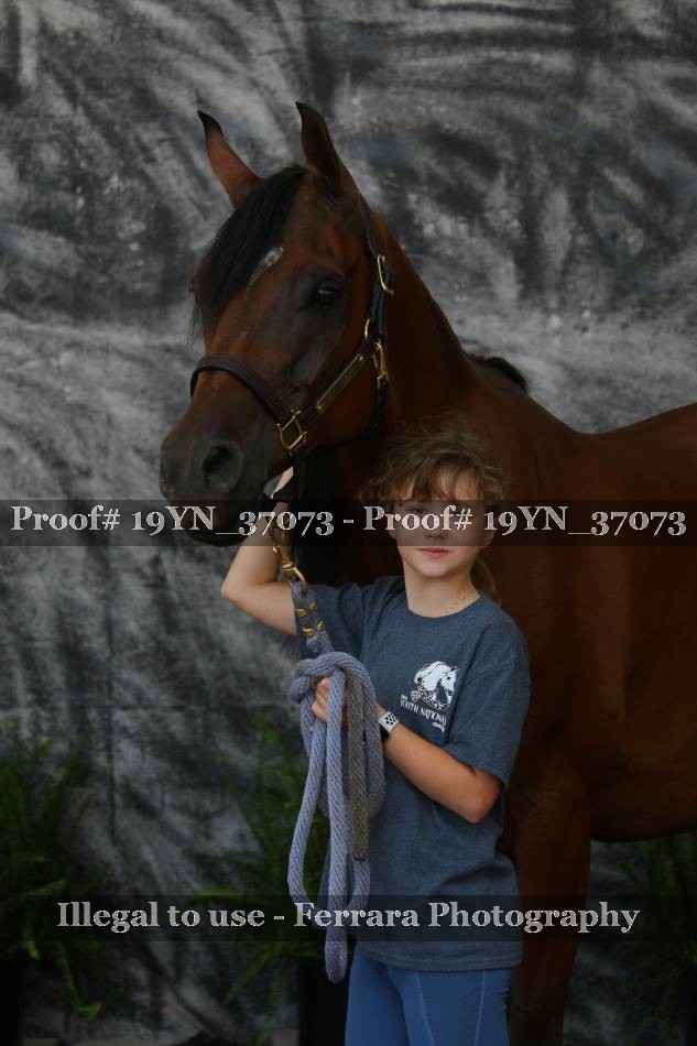 Proof 19YN_37073