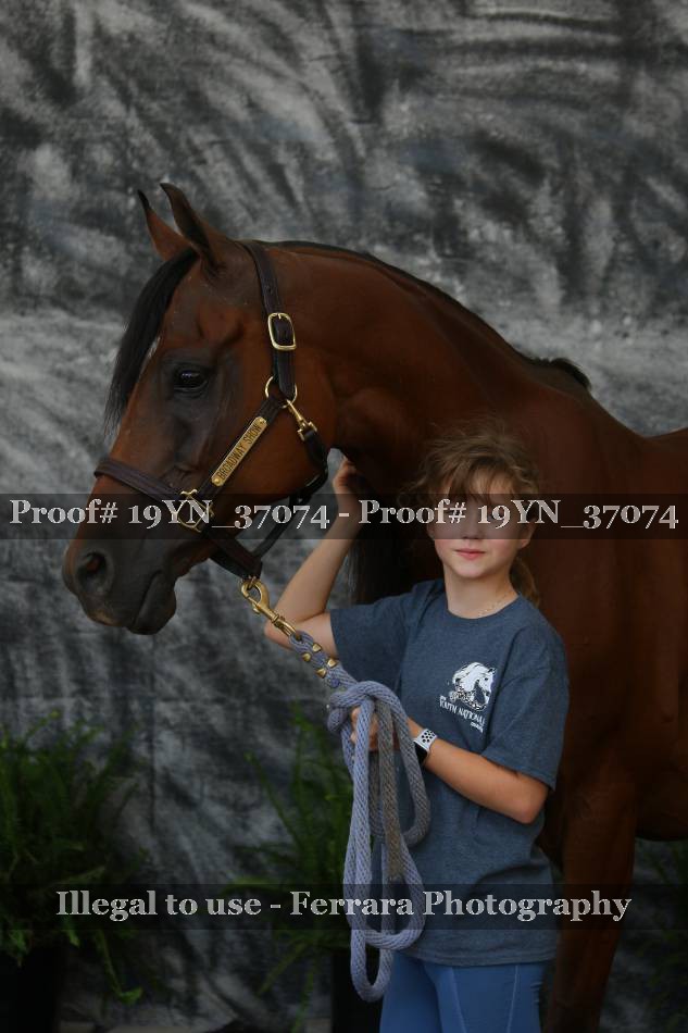 Proof 19YN_37074