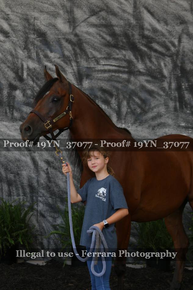 Proof 19YN_37077