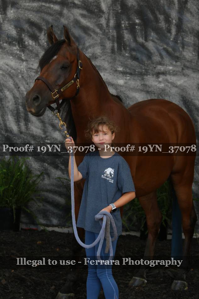 Proof 19YN_37078