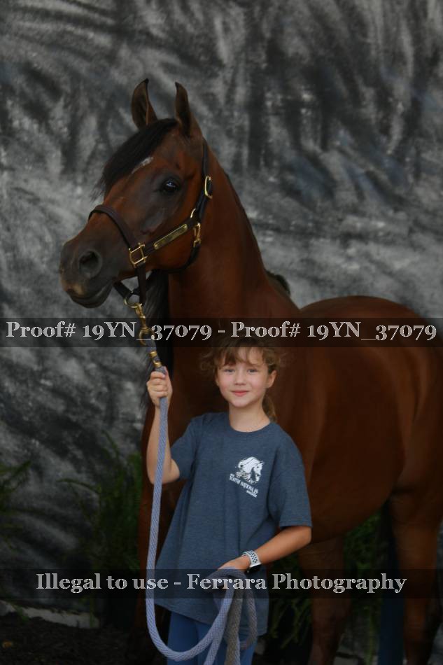 Proof 19YN_37079