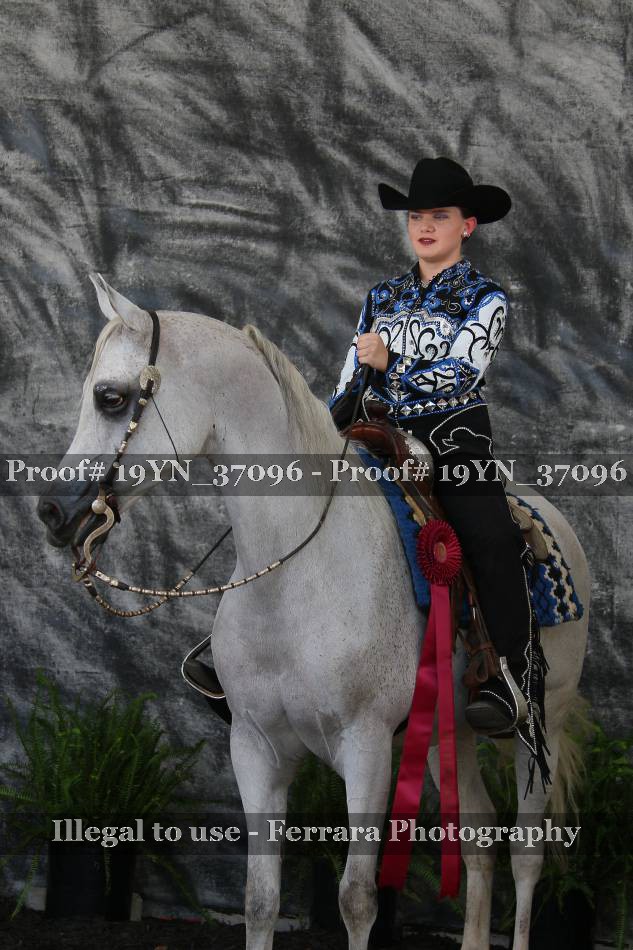 Proof 19YN_37096