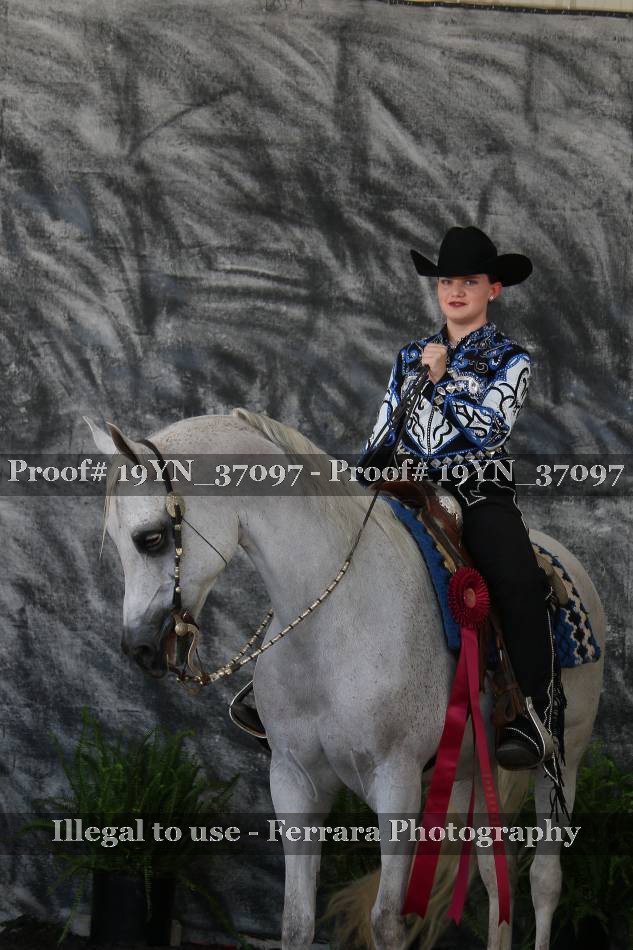 Proof 19YN_37097