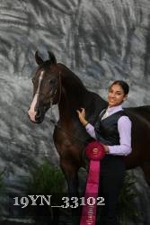 19YN_33102 proof