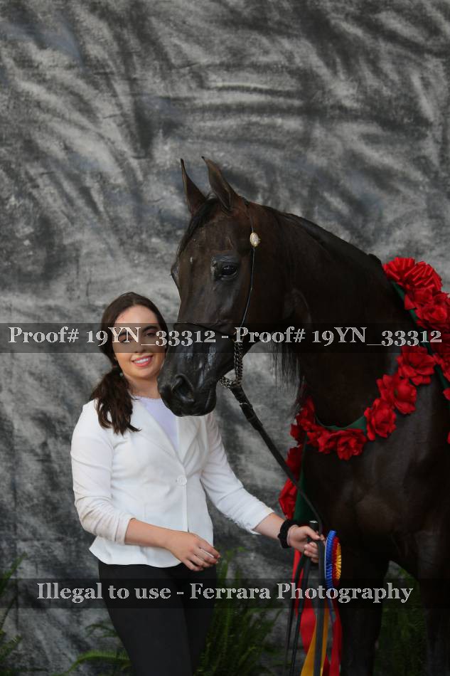 Proof 19YN_33312