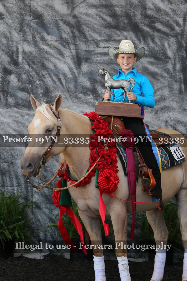 Proof 19YN_33335