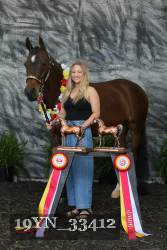 19YN_33412 proof