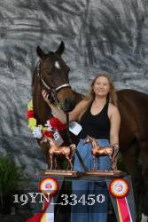 19YN_33450 proof