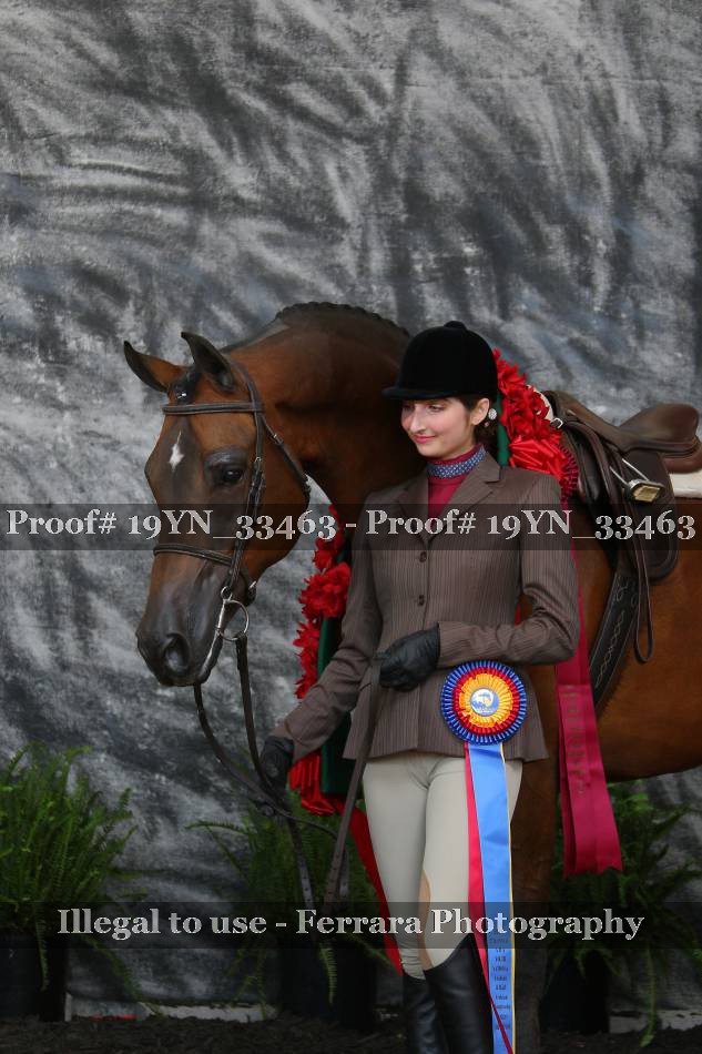 Proof 19YN_33463