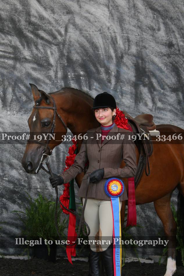 Proof 19YN_33466
