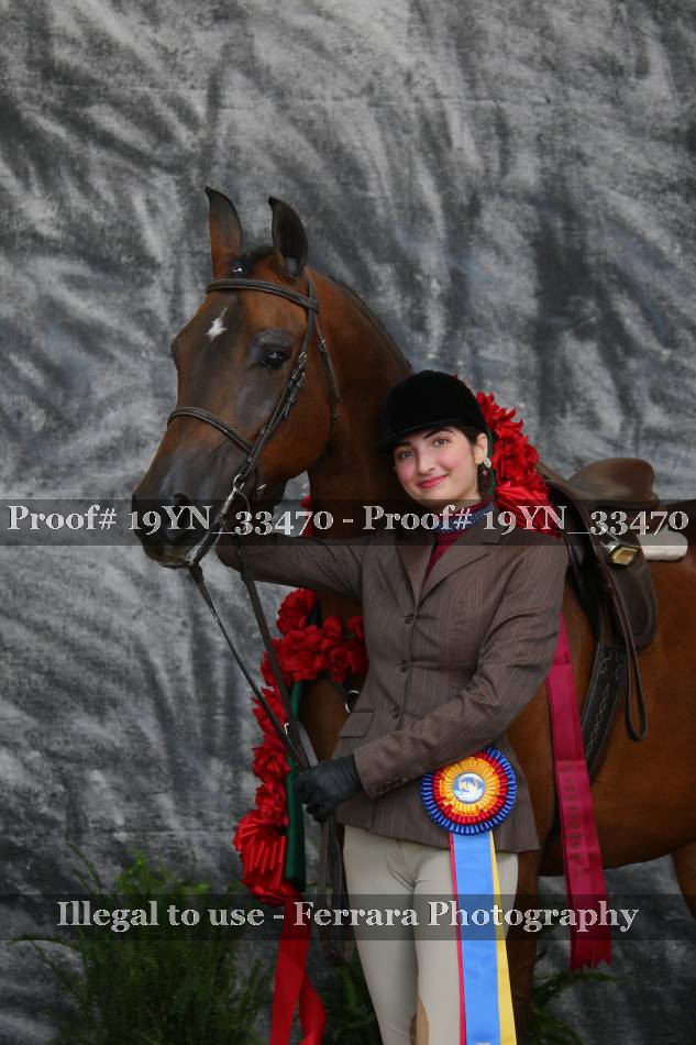 Proof 19YN_33470