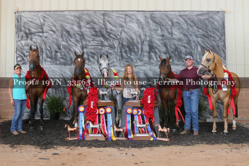 Proof 19YN_33565