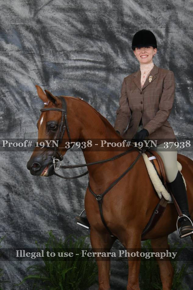 Proof 19YN_37938