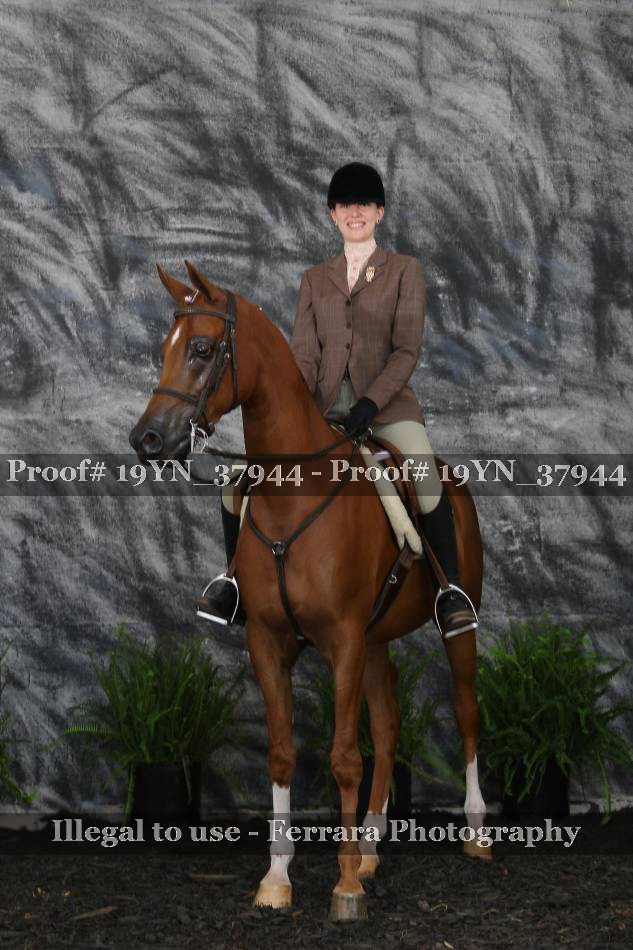 Proof 19YN_37944