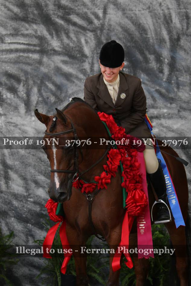 Proof 19YN_37976