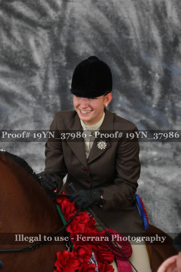 Proof 19YN_37986