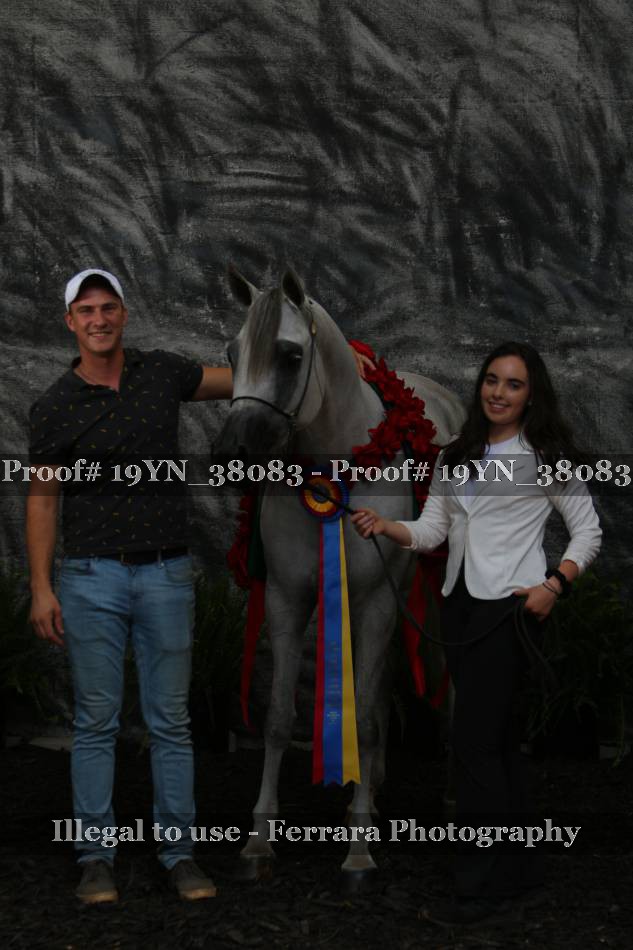 Proof 19YN_38083