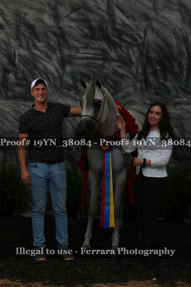 Proof 19YN_38084