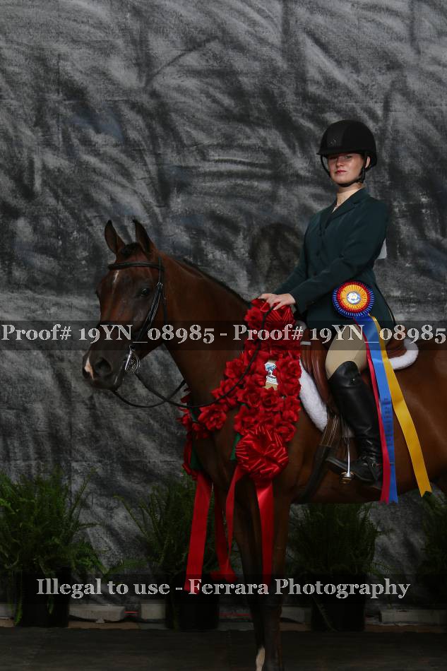 Proof 19YN_08985