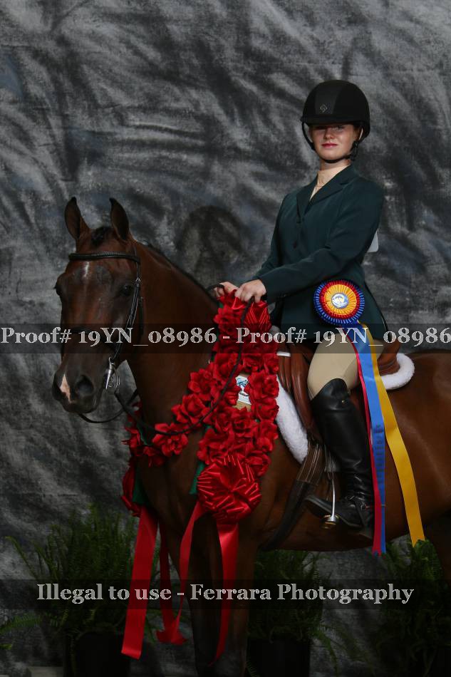 Proof 19YN_08986