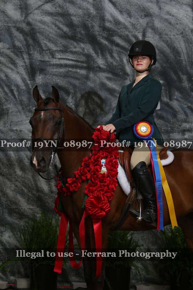 Proof 19YN_08987