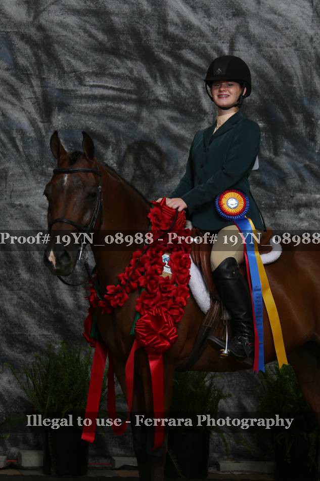Proof 19YN_08988