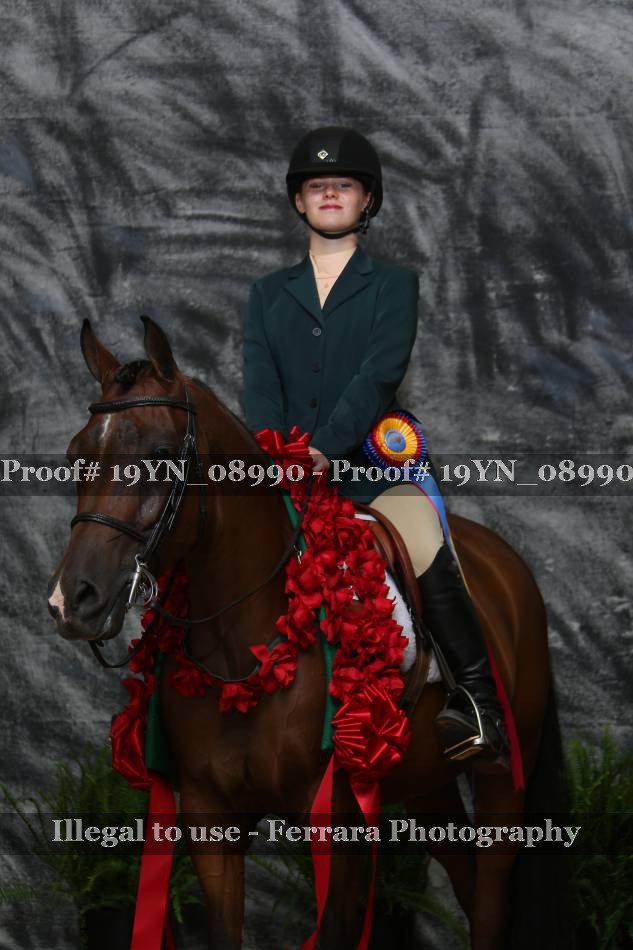 Proof 19YN_08990