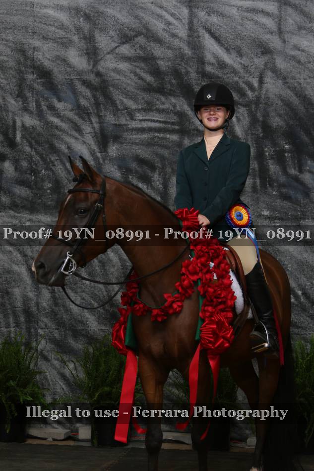 Proof 19YN_08991