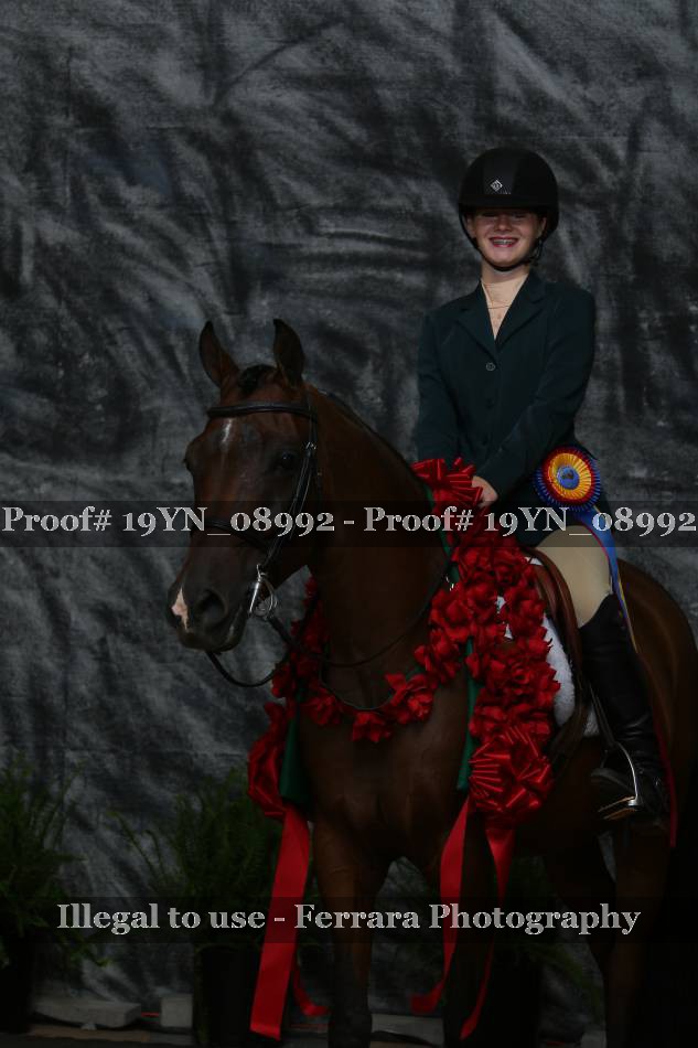 Proof 19YN_08992