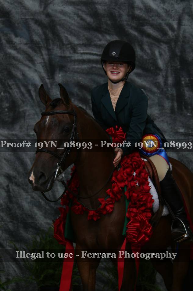 Proof 19YN_08993