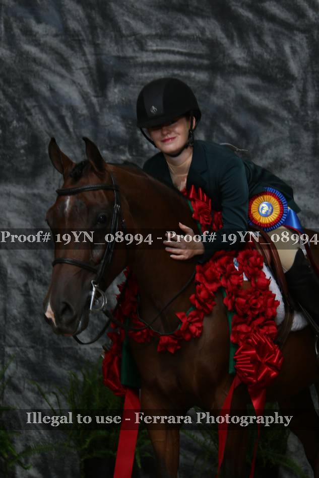Proof 19YN_08994