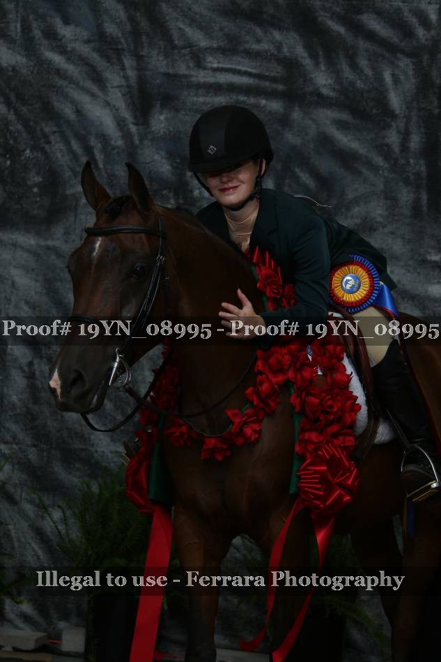 Proof 19YN_08995