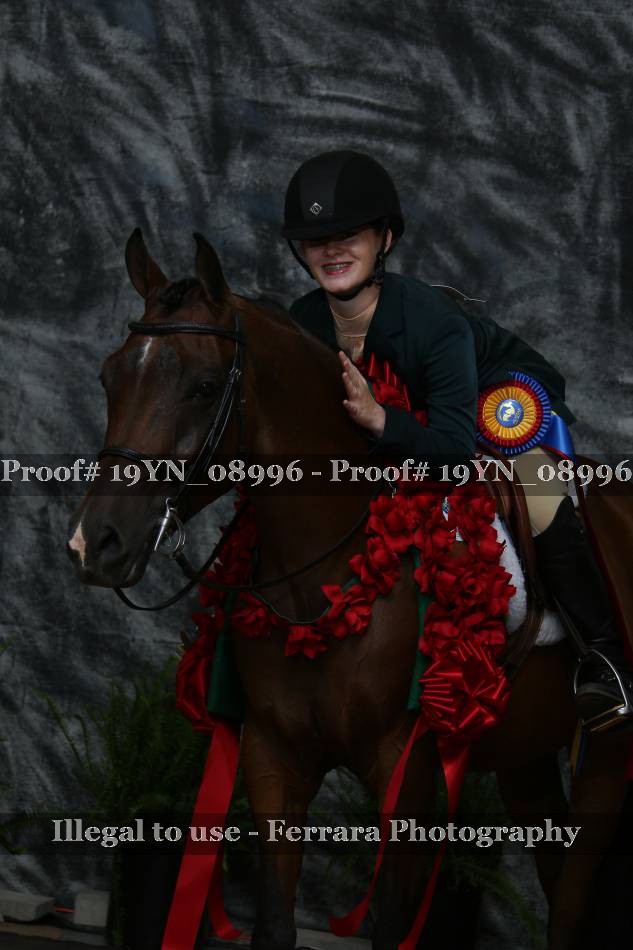Proof 19YN_08996