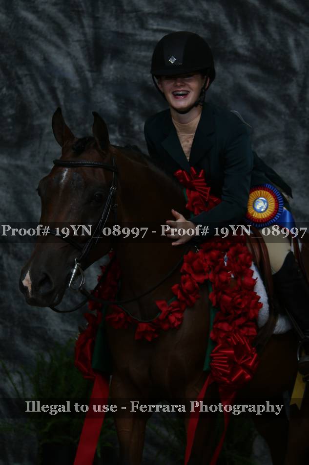 Proof 19YN_08997