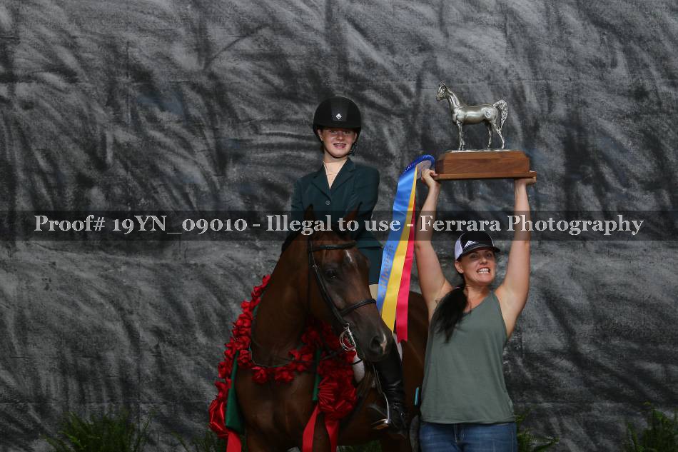 Proof 19YN_09010