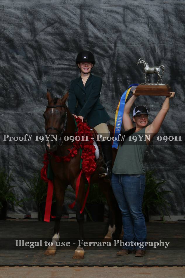 Proof 19YN_09011
