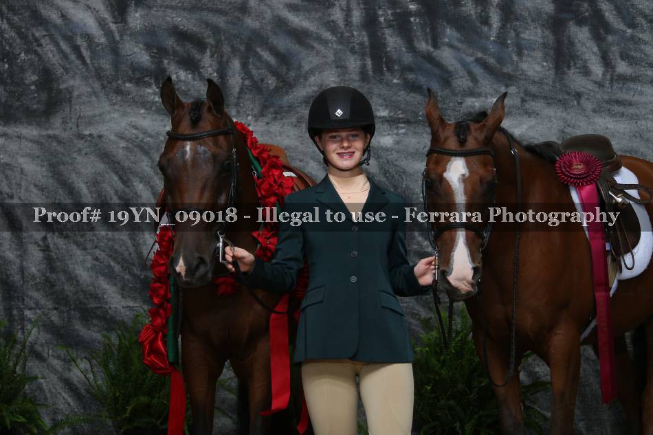 Proof 19YN_09018
